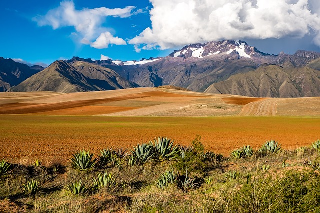 Hory, Bolívie, krajina