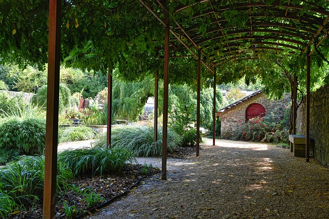 Pergola v zahradě